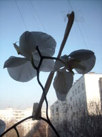 DSCN2226.JPG