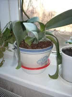 DSCN2243.JPG