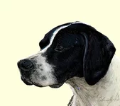 dog_02.jpg