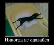 getImage (2).webp