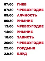45119497.webp