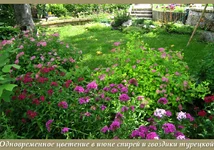01.webp