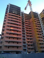 IMAG0373.webp