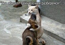 -eCXYk18EqA.jpg