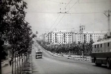 22.webp