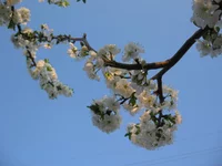  (9).webp