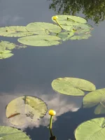  (160).webp