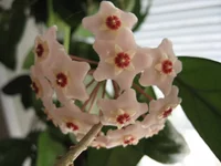  (189).webp