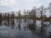 DSCN2663.webp