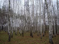 DSCN2667.jpg