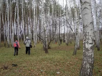 DSCN2669.webp
