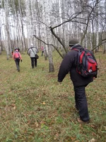 DSCN2670.webp