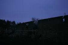 IMGP2411.webp