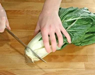 COSTE-BIG.webp