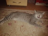 2012-11-10 21.02.38.jpg