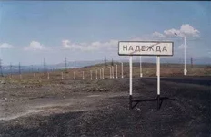 76770868.webp