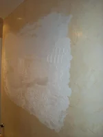 100_6287 - копия.webp