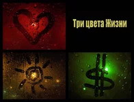 14284003.webp