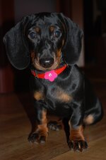 DSC_4171.JPG