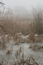 CRW_6905.jpg
