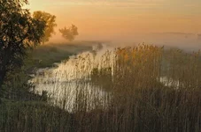 CRW_8484.webp