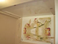 IMG_4874_новый размер.webp