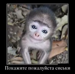 getImageCA56B37T.webp