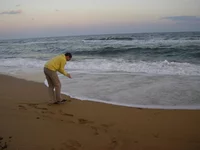 IMGP0012.webp