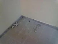 291120122309.webp