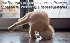 images1.webp