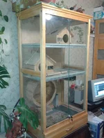 2012-10-08 10.38.41.webp