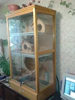 2012-10-08 10.38.31.webp