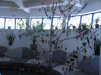 IMG_0400s.webp
