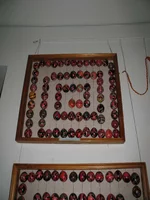 IMG_0397s.webp