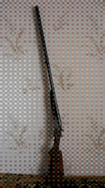 IMG_3917.GIF