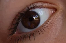 DSC_0268 копия.webp