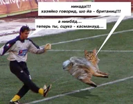 bb.webp