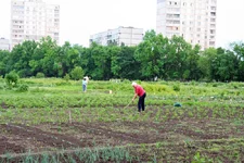 Харьков незнакомый.webp  Харьков незнакомый.webp