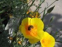 Resize of Изображение 100.webp