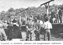 biskupia3.jpg