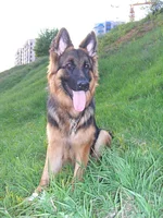 CIMG4780_resize.webp