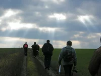 DSCN0796.webp