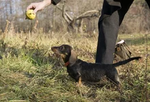 IMG_9800mini.webp