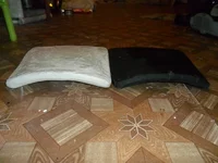 pic_4.webp