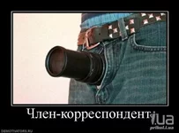 581629.webp