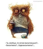 sova.webp