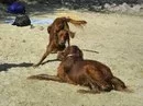 GQla_edtJDs[1].webp