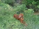 m_8a2d5a2a[1].webp