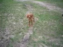 m_9edf7c8a[1].webp