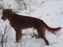 o_84bd7024[1].webp